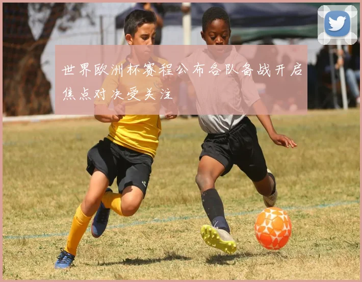 世界欧洲杯赛程公布各队备战开启焦点对决受关注