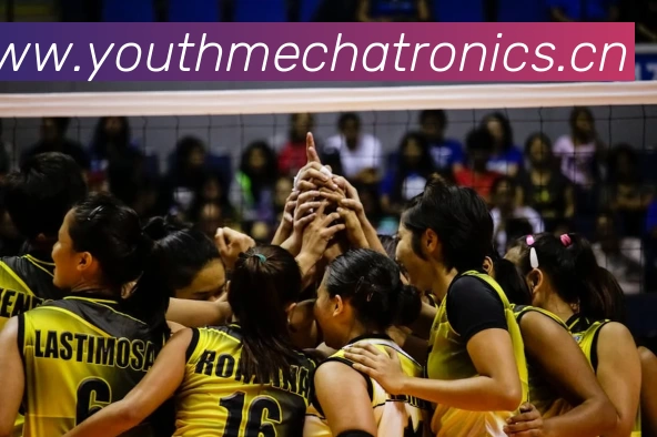 App Interface Preview